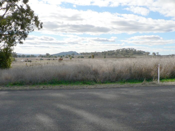 The view looking north. No trace remains of the level crossing.