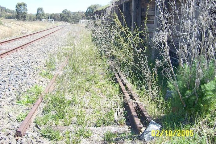 The tracks are still in place next to the Loading dock but have been disconnected from the main line.