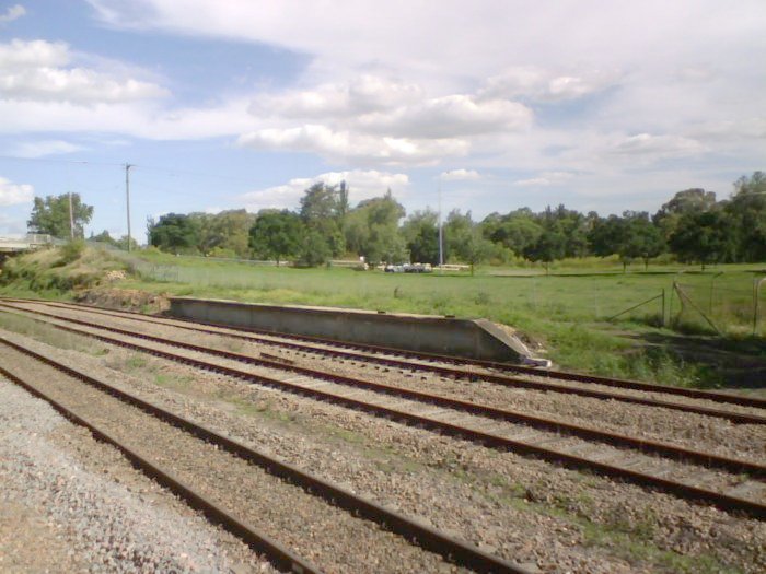 The platform that served the adjacent stock yards. Half the platform is concrete and the other half is sleepers in a advanced state of decay.