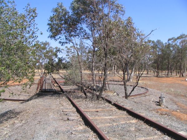 The overgrown turntable looking west at the terminus of the branch.