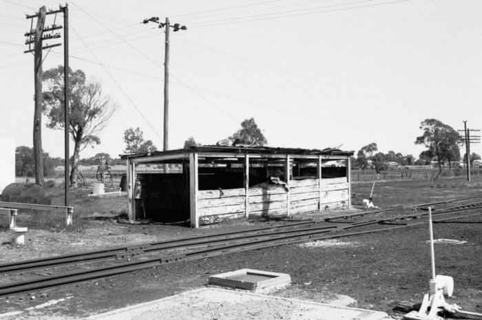 A timber storage structure in the middle of the yard.