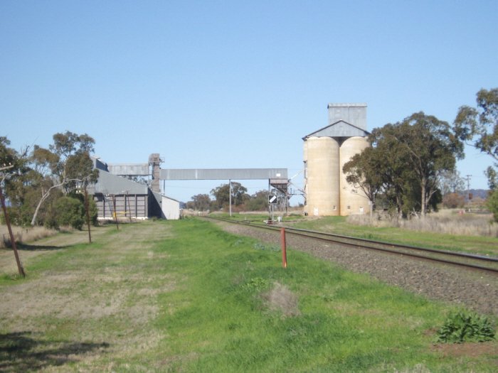 Nea Section Silo looking back towards Breeza.