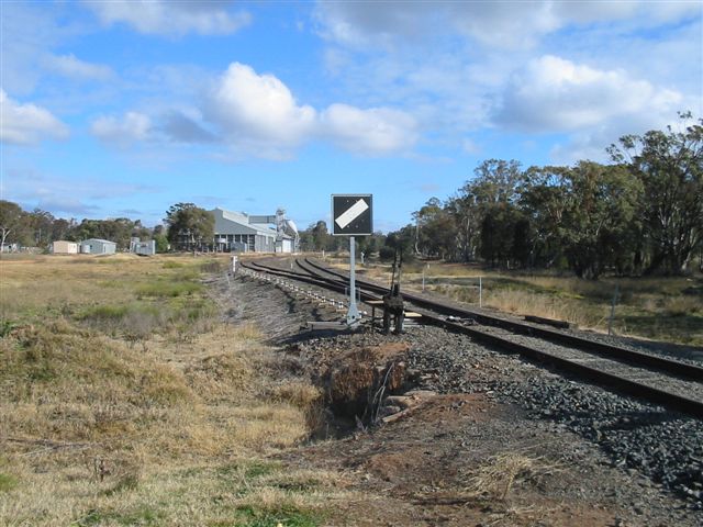 
The view of the silos at Neilrex, looking back towards Merrygoen.
