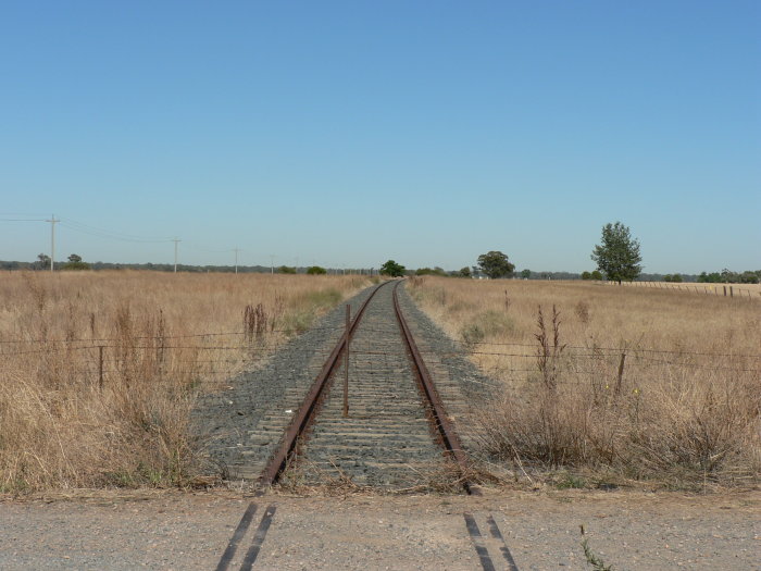 The view looking south towards Tocumwal.