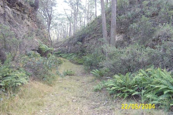 A cutting where former Newnes branch once passed.