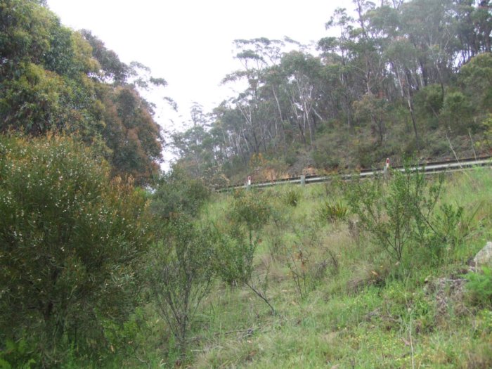 The view looking west where the Dargans Deviation is cut by the access road to Clarence Colliery.