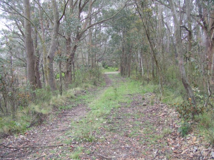 Dargans Deviation looking west between the former junction and the colliery access road.