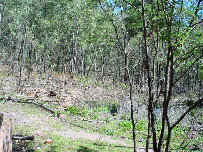 
Ruined buildings near the end of the Newnes branch.
