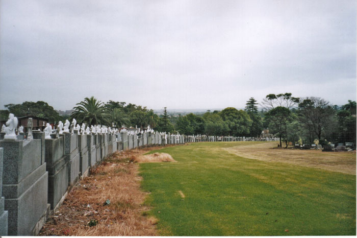 
The view looking back up the line.  The platform was on the left, with the
track where the grass now is.
