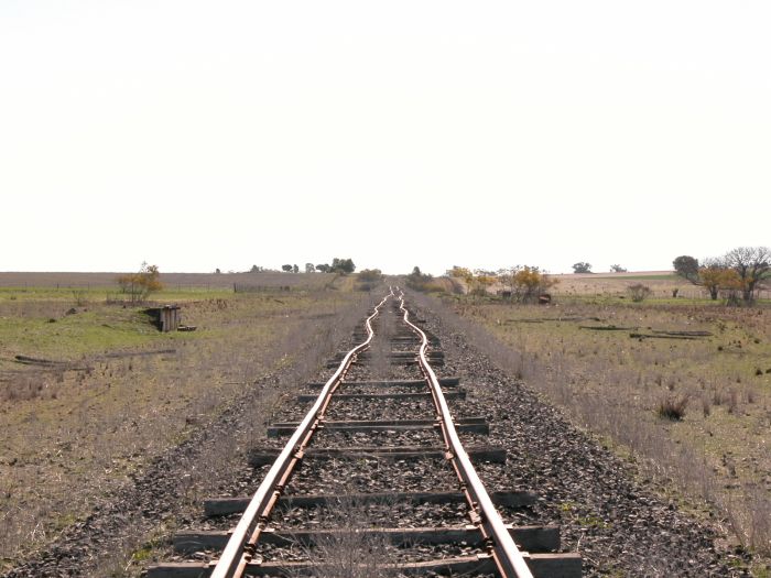 
Many of the sleeprs have been remoed from this section of the track,
resulting in severe buckling over time.  Thsi is the vierw looking
down the line past the goods bank.
