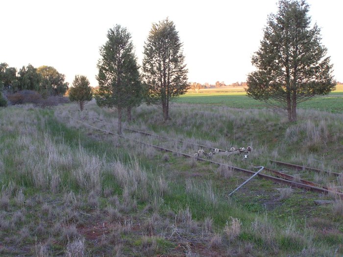 The abandoned standard gauge track heading east from Urana-Oaklands Road.