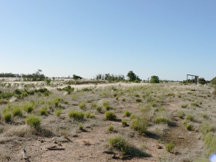 The view looking west toward a mound that may have been a platform.