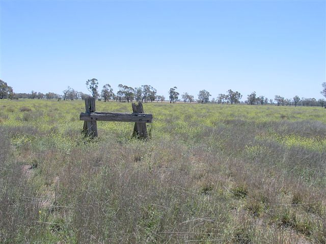 
The buffer stop at the end of the line, which never reached Collarenebri.
