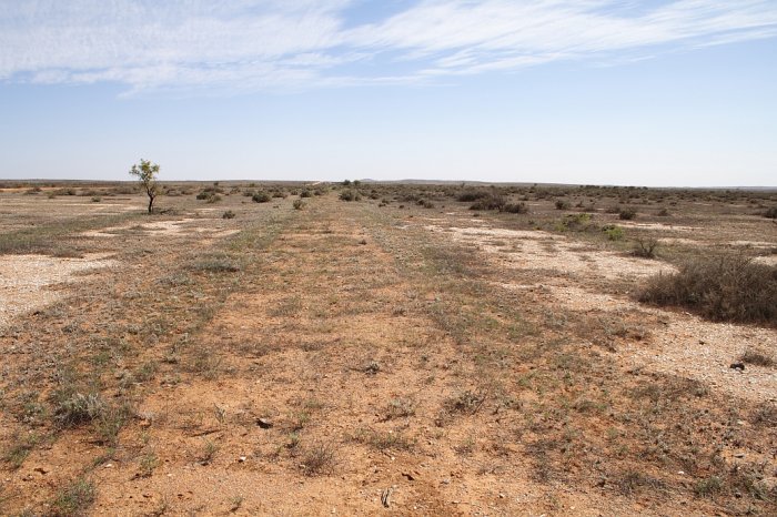 Even after 80 odd years you can still see where the line was. This is the view looking towards Tarrawingee.