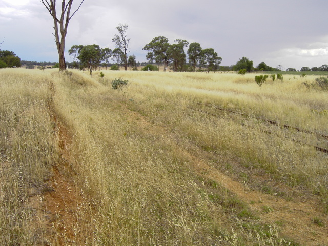 
The view looking across the location in the direction of Koorawatha.
