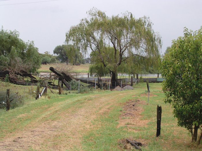 The remains of an old bridge near the site of Raworth on the Morpeth Line.