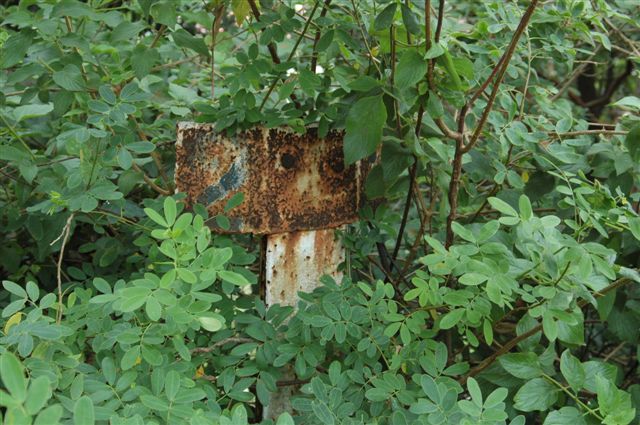 Buried in the vegetation is the 2 km post, marking the distance from Adamstown Station.