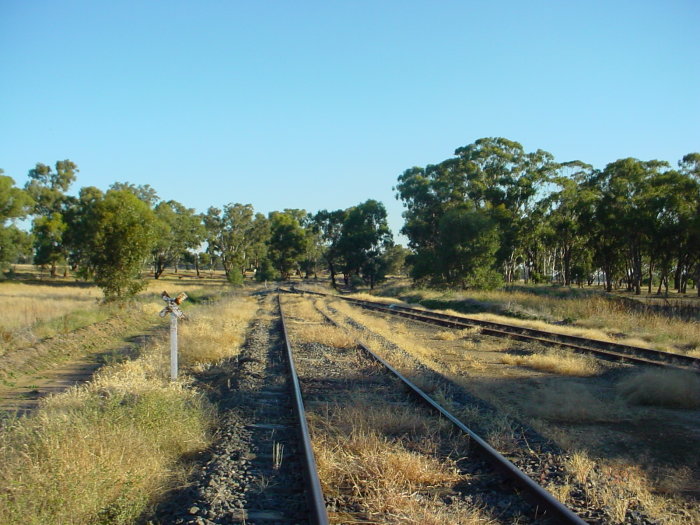 
The view looking south through the yard.
