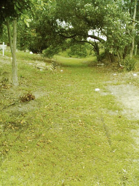 The remains of the branch line where it curves towards the cemetery behind Sandgate Station.