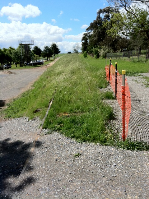 The view looking towards the junction shows the track is disappearing under the grass and gravel.