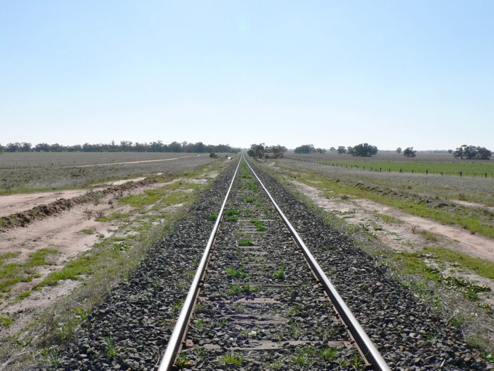 The view looking north from the level crossing. No trace remains.