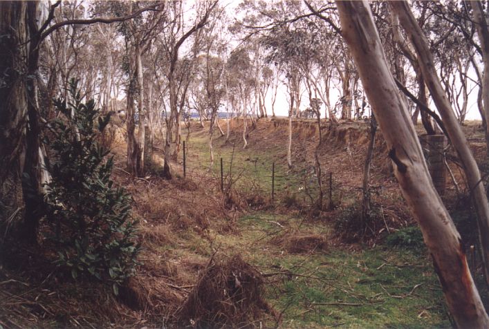 
The formation is clearly visible near where it crosses the dirt road between
Mount Rae and Strathaird.
