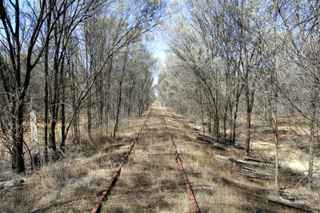 Not much left of the old branch line. What hasnt been lifted is getting fenced off or taken over by Mother Nature. This photograph is between Compton Downs and Tarcoon.