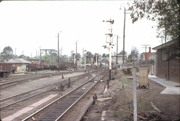 Taree yard looking south.