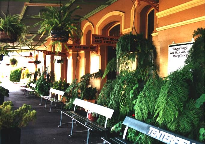 
The platform now looks more like a jungle than a railway station!
