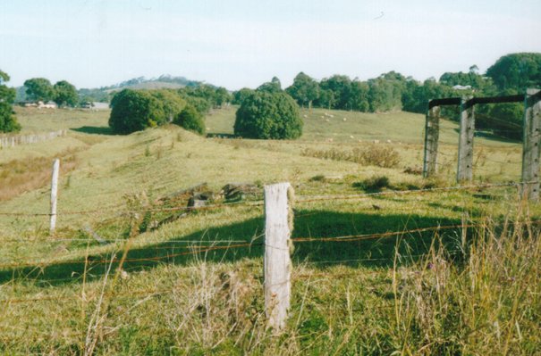 The view looking east from what would have been the first road crossing on the branch. Nothing remains of platform that was in the vicinity of this location.