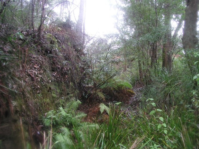 A view of the formation looking in the direction of the main line.