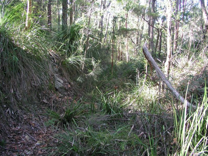 The pre-bushfire condition of the formation.