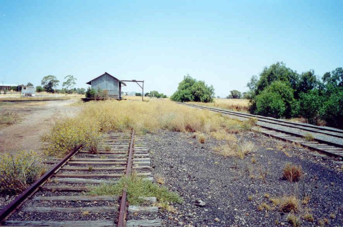 The view from the north looking along the Goods siding towards Sydney.