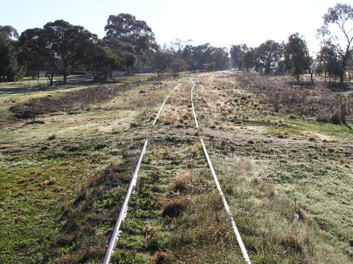 The view looking east from the former level crossing at William St (Main Road No. 59).