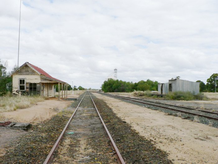 The view looking east through the yard.