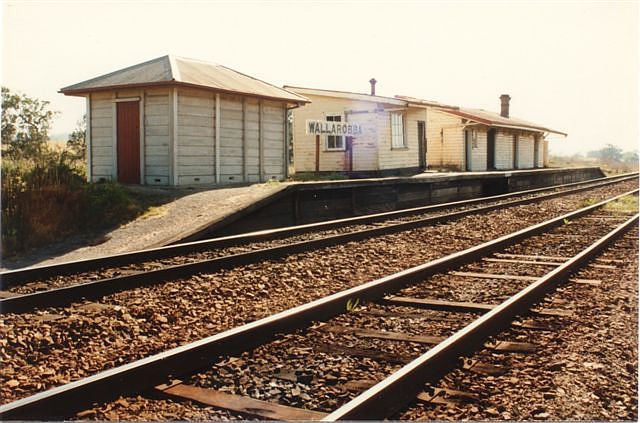 
The view looking north along the station.
