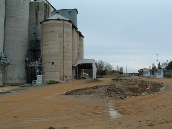 The view looking north along No 1 Grain Siding.