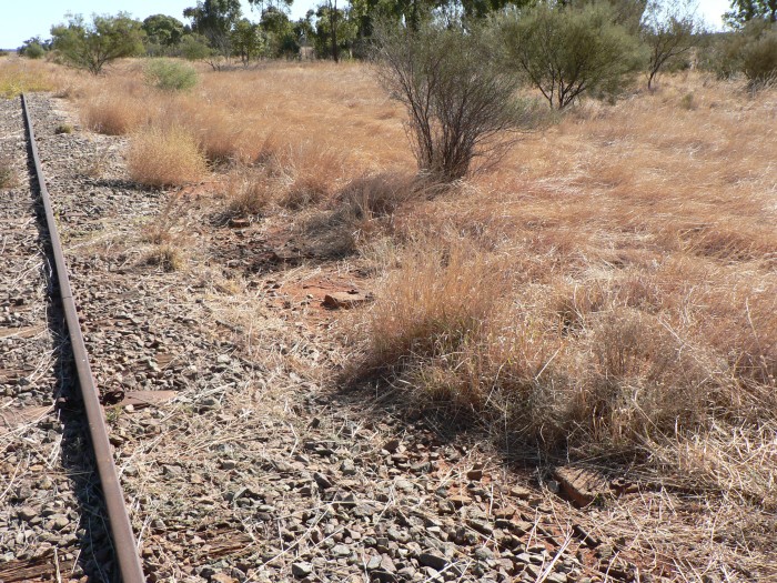 The remains of the supports for the points and signal wires.