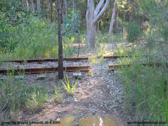 Some parts of the branch still have the track in place.