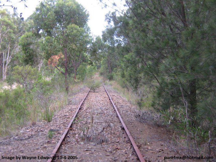 Some parts of the branch still have the track in place.