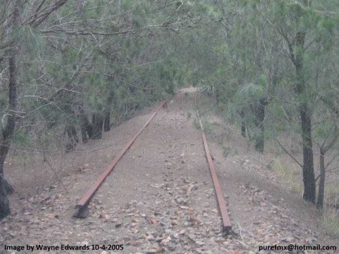 Some parts of the branch still have the track in place.