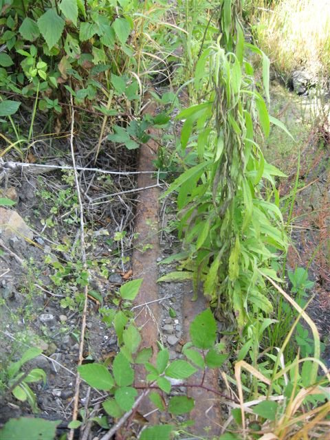 The remains of some points in the quarry itself.