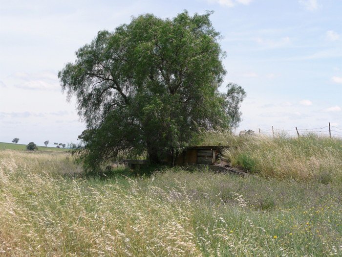 The remains of a platform.