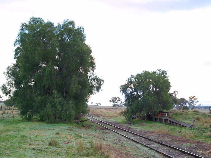 The station and platform were on the down side of the track, with the still complete goods loading dock on the up side.