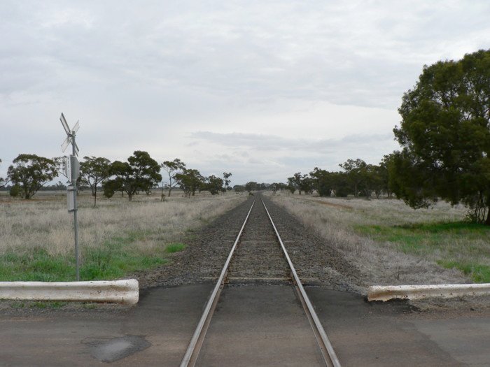 The view looking west beyond the location towards Narromine.