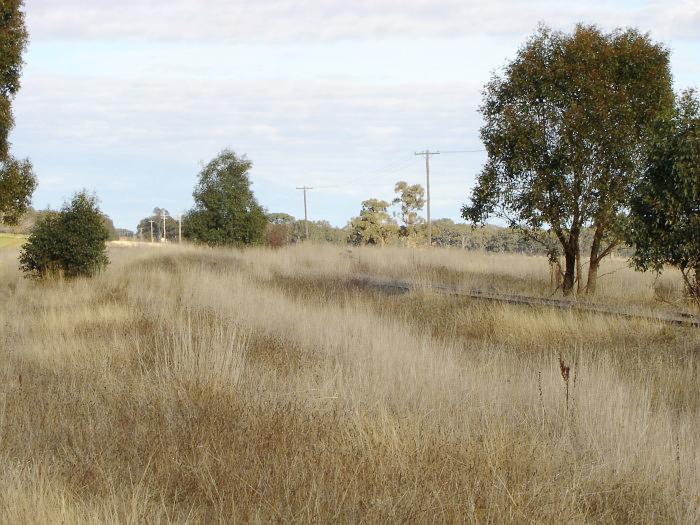 The overgrown track in the vicinity of the one-time station.