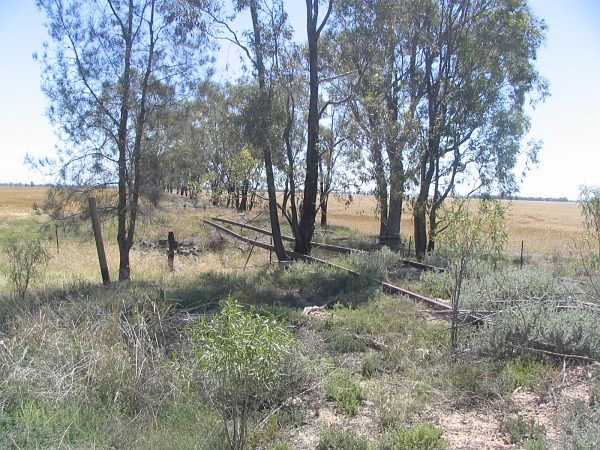 
The station of the track in the now-closed section beyond Weemelah.  It
has been 30 years since trains last ran here.
