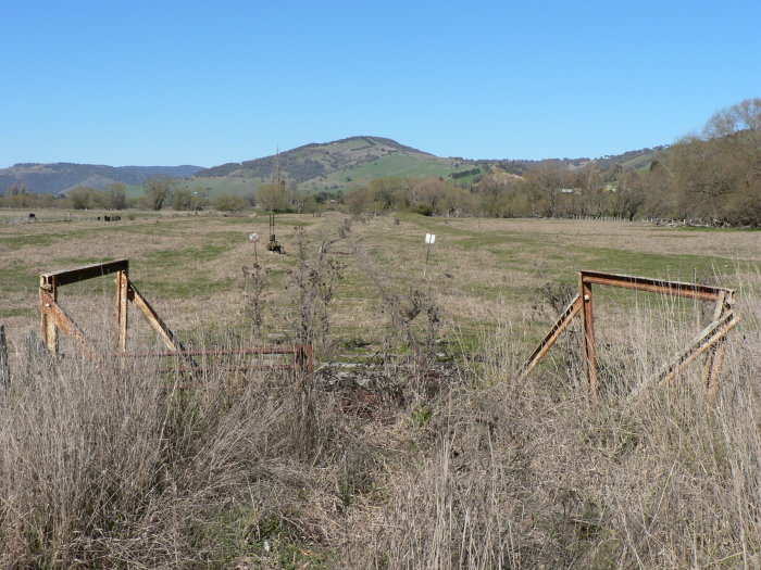 The view looking south towards the location of the station.