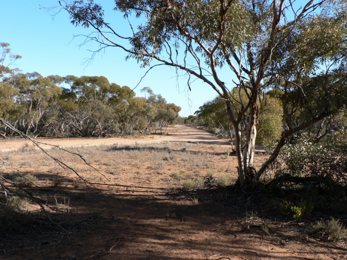 The view looking west.