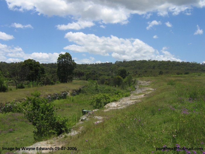 The cutting where the tracks approached the coal loading facility.